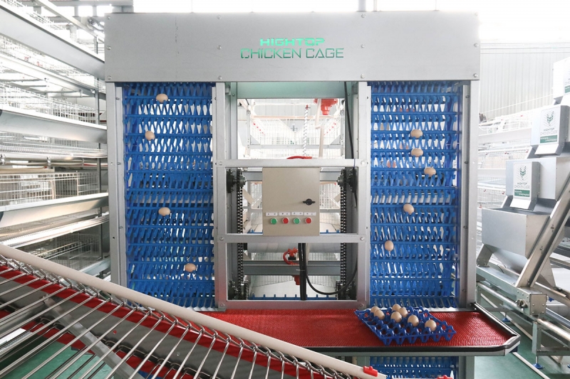Automatic Egg Collection System, Poultry Egg Collection Machine