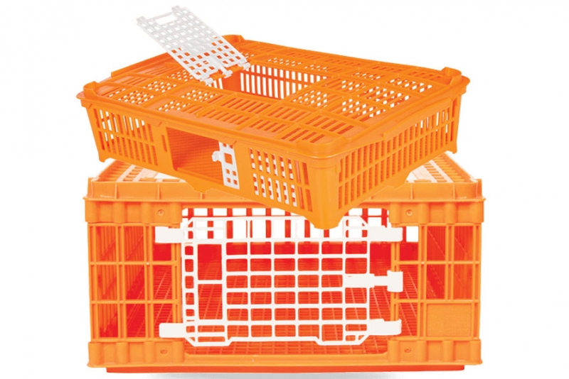 Plastic Poultry Transport Crates, Chicken Crates for Transport