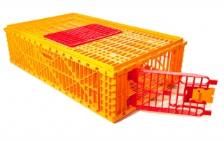 plastic chicken transport cages
