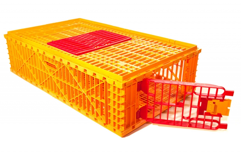 Plastic Poultry Transport Crates, Chicken Crates for Transport