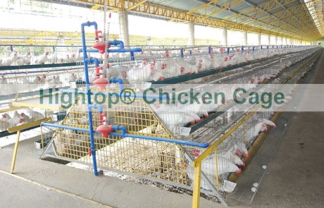 poultry farming project in Philippines