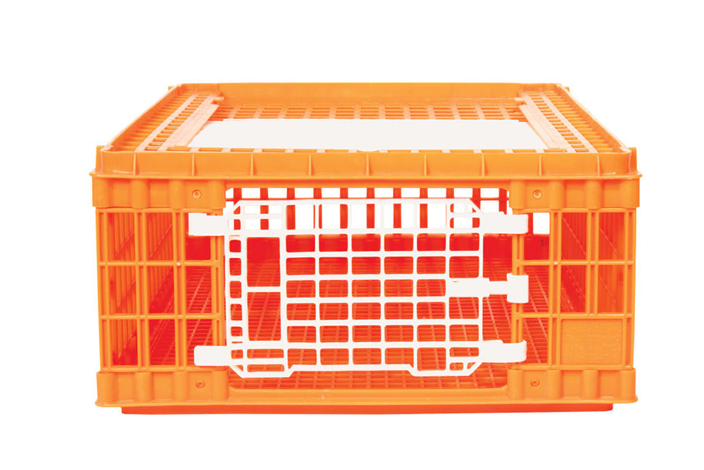 poultry transport crates