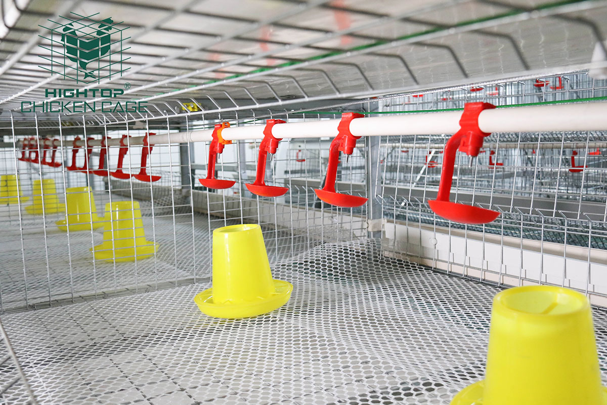automatic broiler cage system