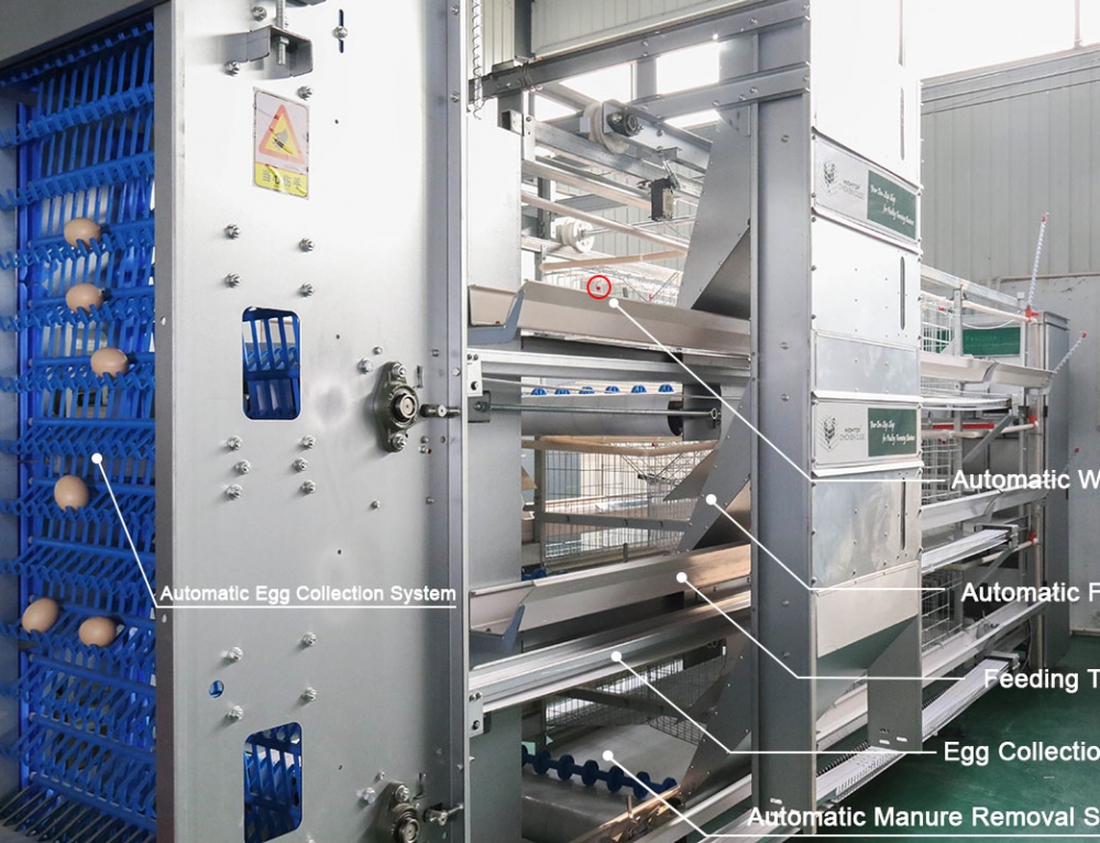 Commercial Rabbit Cages for Rabbit Farming