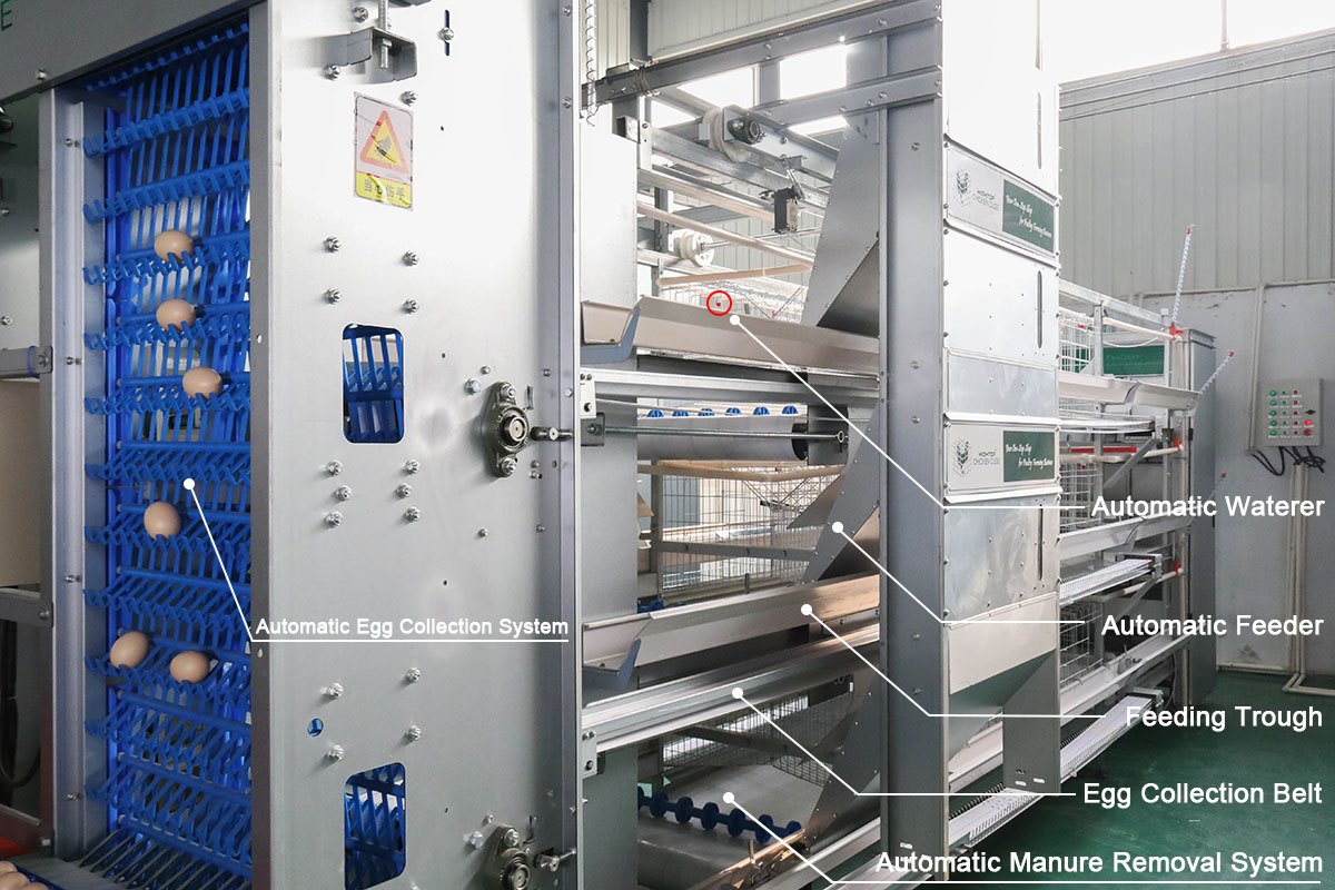 automatic battery cage system
