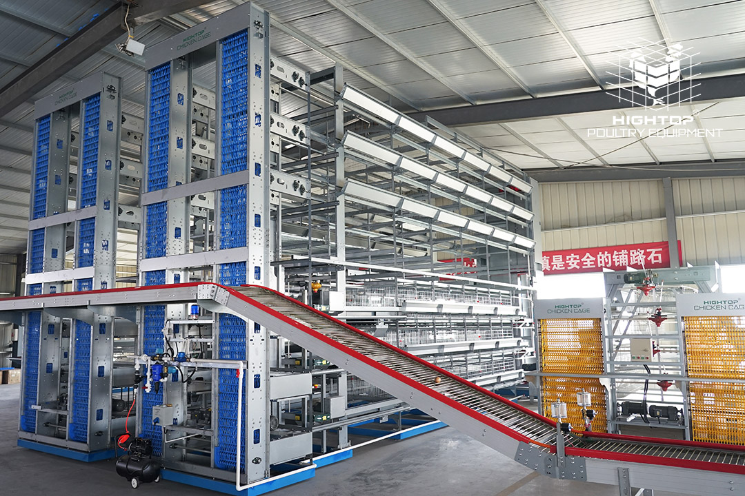 Automatic H Type Battery Cage