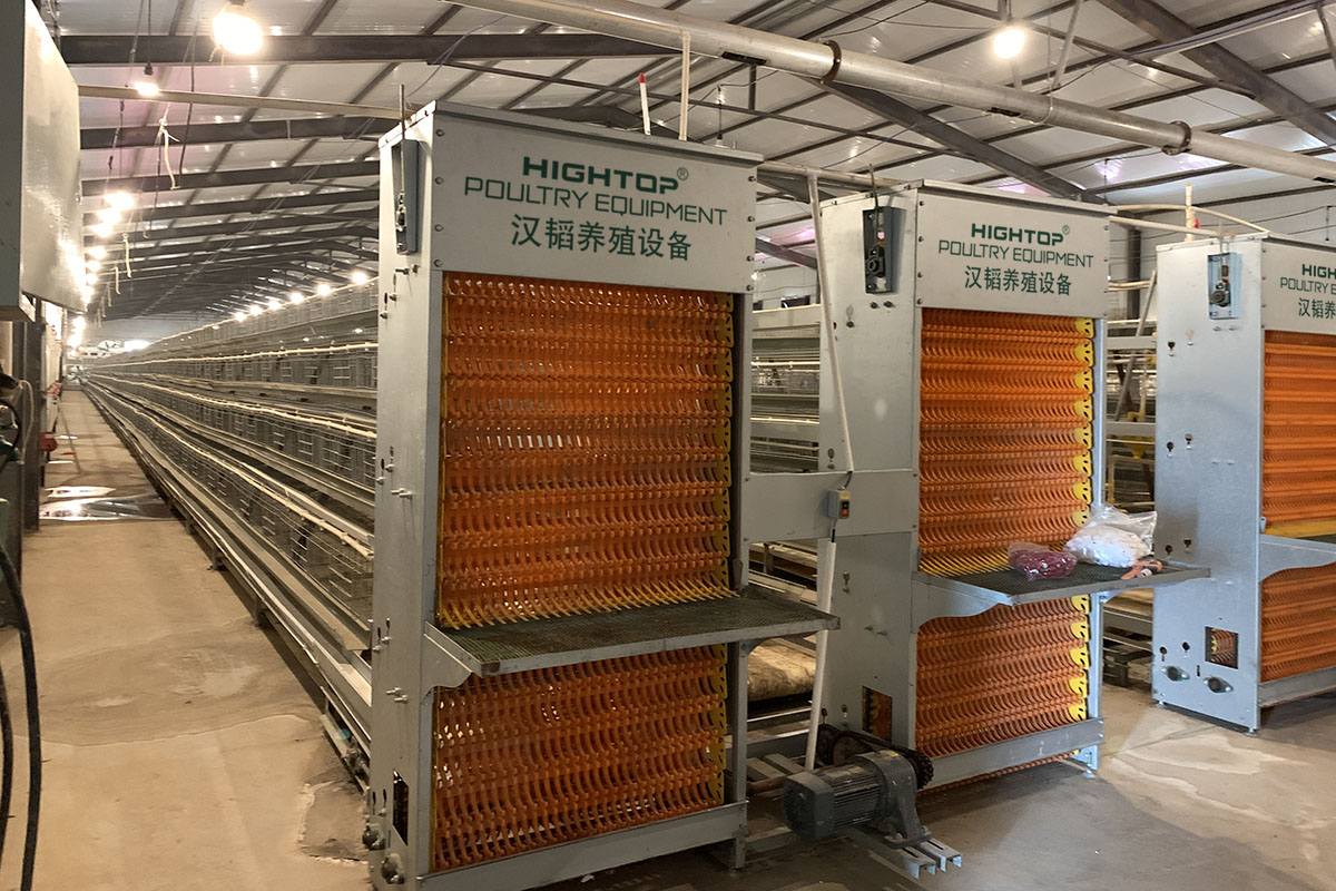 A type battery cage system