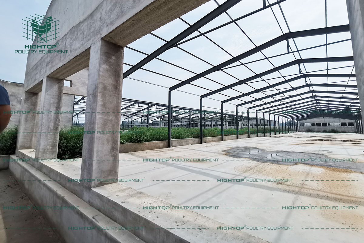 Poultry house using steel structure
