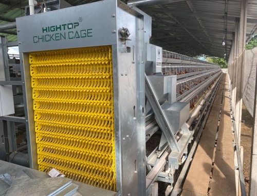 A type battery cages for sale