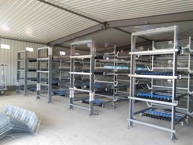 H Type Battery Cage Project Hightop Poultry Equipment h-type-battery-cage-project-hightop-poultry-equipment