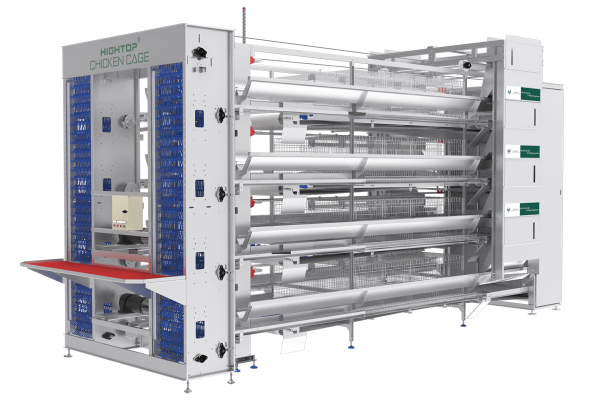 H Type Automatic Egg Layer Chicken Farm Laying Hens Poultry Battery ...