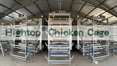 H Type Automatic Egg Layer Chicken Farm Laying Hens Poultry Battery ...