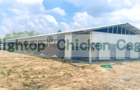 hightop battery cage for sale in Thailand