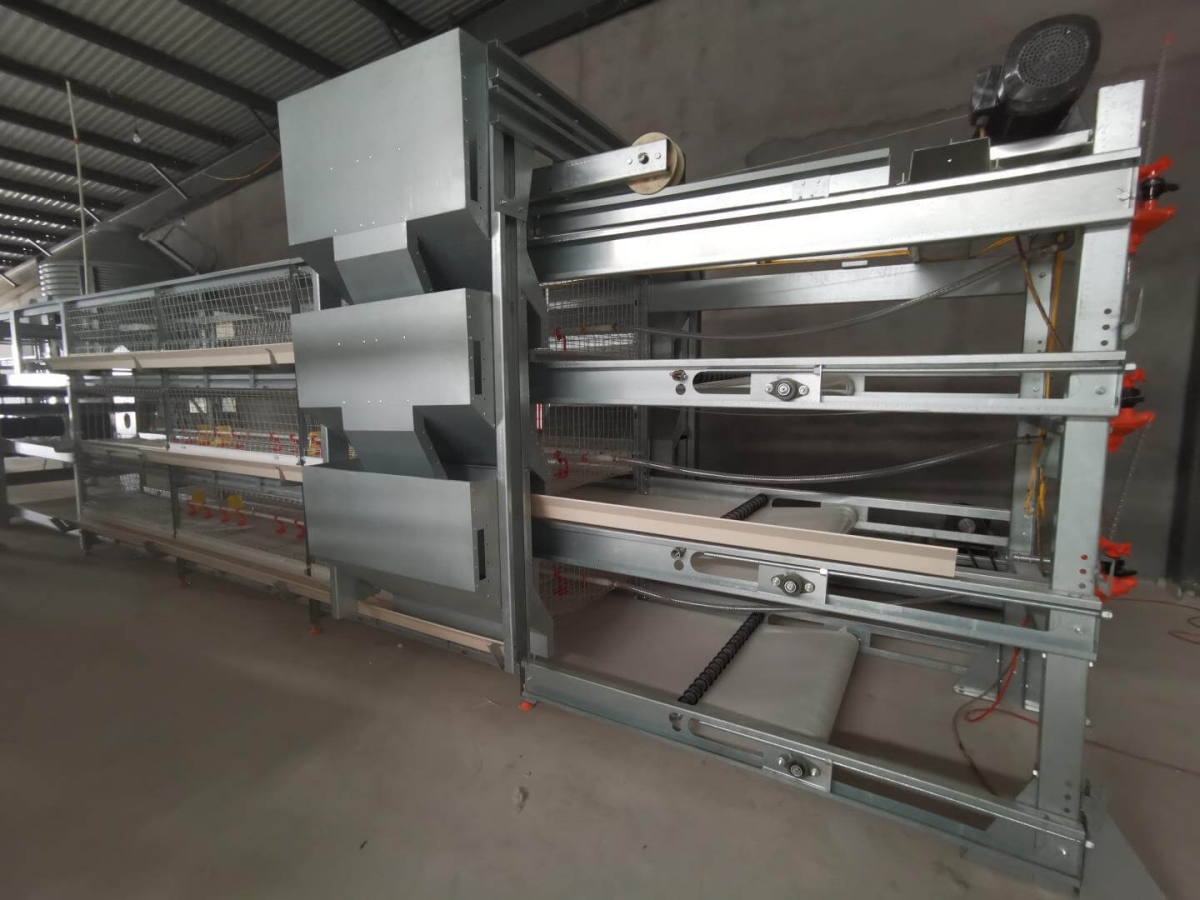Manual Bird-Harvesting Broiler Chicken Cage | Algorithm Trading PLC ...