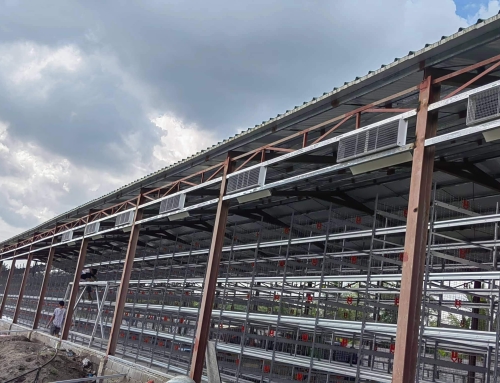 How to Choose the Right Broiler Chicken Farming Equipment for Yourself