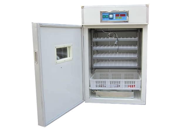 Manual Bird-Harvesting Broiler Chicken Cage | Algorithm Trading PLC ...