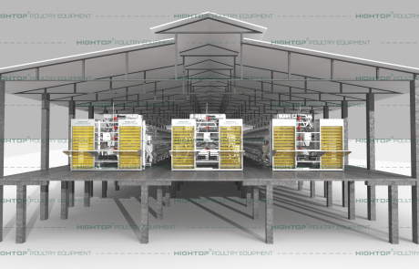 3D chicken house design