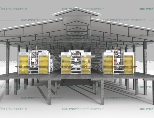 A Type Layer Cage Farm in Philippines 17k Birds/Building