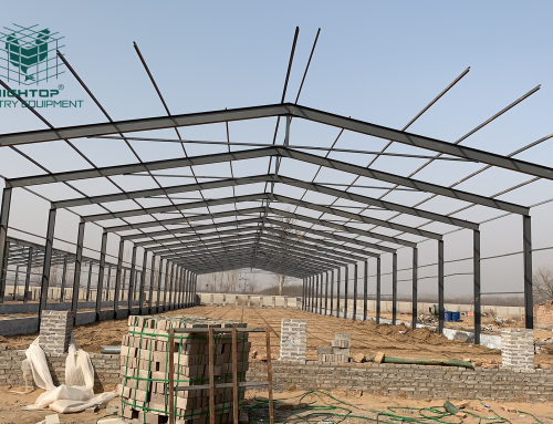 Steel-Structure Chicken Houses: Advantages, Disadvantages, and HIGHTOP Solutions