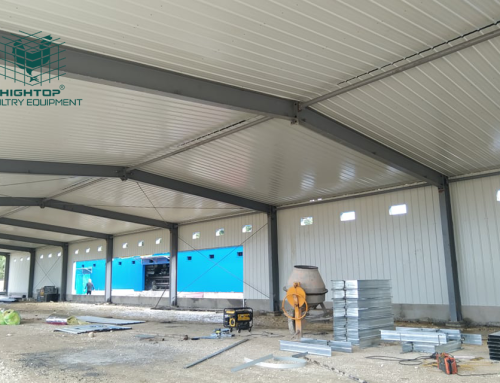 Prefab Steel Structure Chicken House,Steel Structure Warehouse