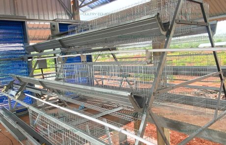 A type egg laying chicken cage