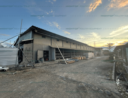 88,800 Birds/Building Broiler Cage Chicken House