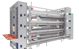 H Type Layer Chicken Cage