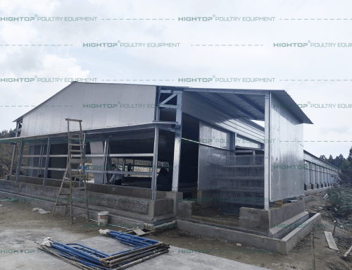 20,160 Birds/Building Layer Cage Chicken House