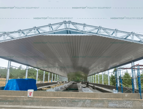 Prefabricated Chicken House, Prefab Chicken Shed