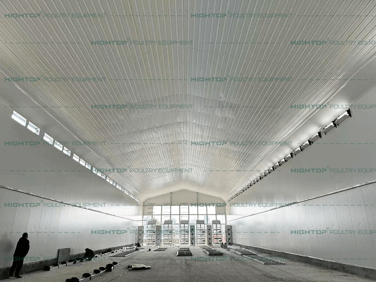 Interior of the chicken house