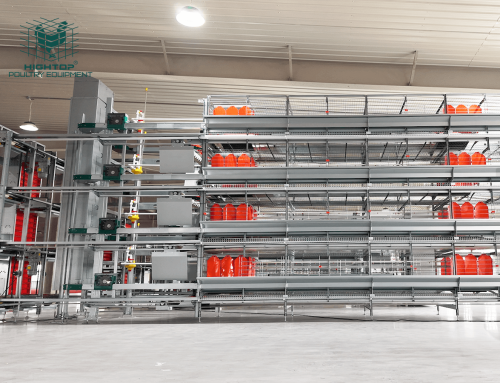 Enriched Layer Cage, Furnished Cage, Colony Cage