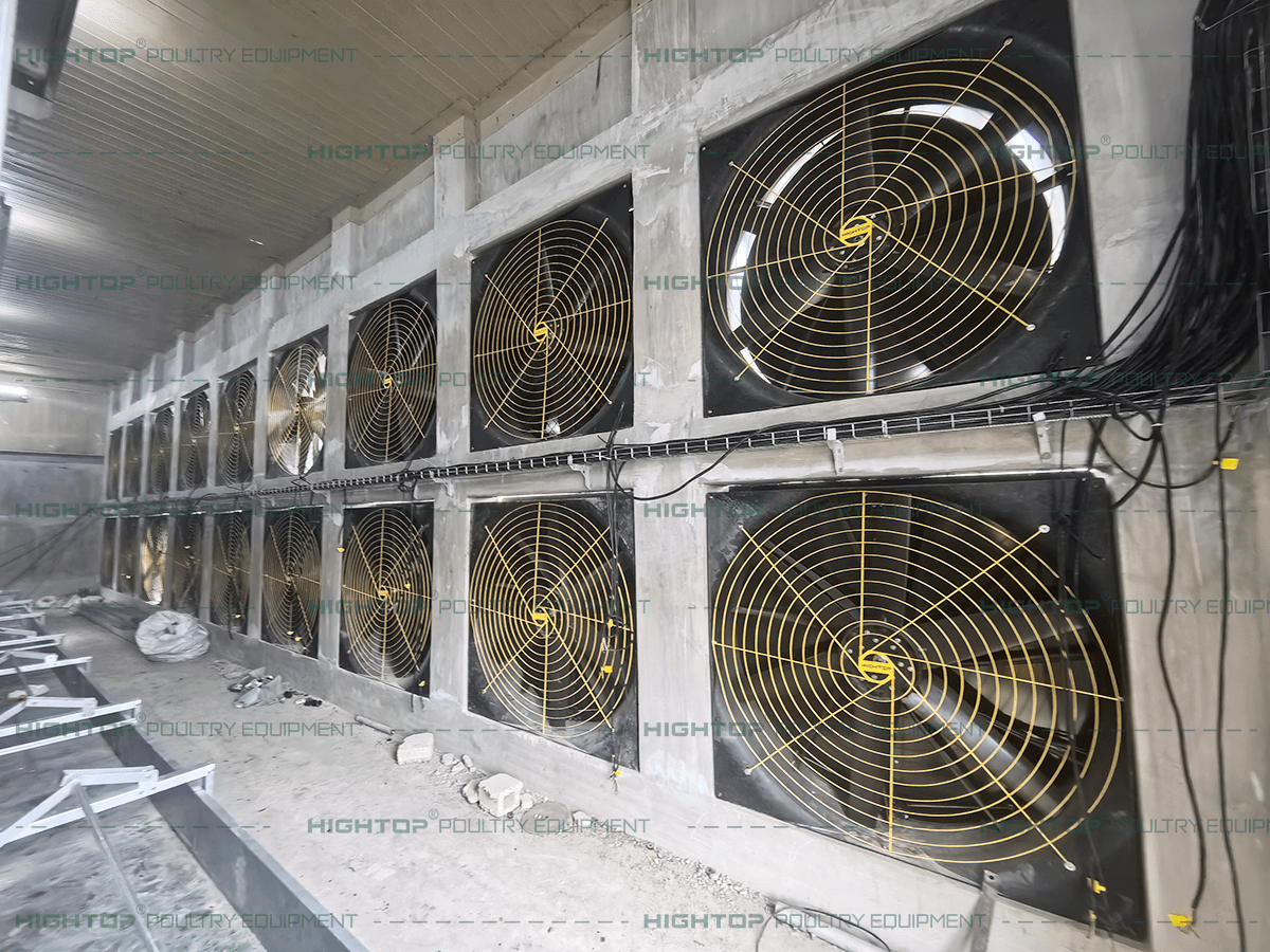 Fan inside the chicken house