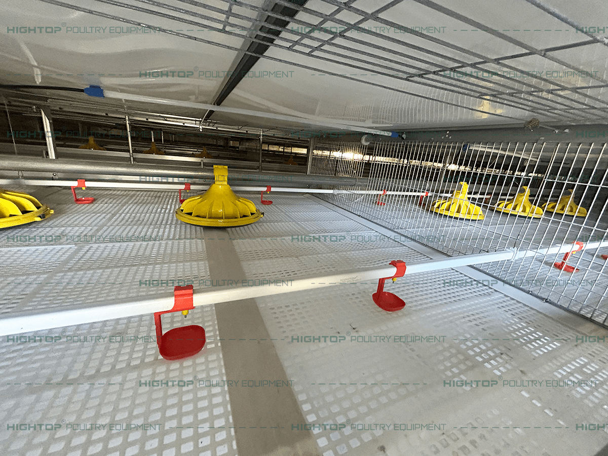 Pull out the interior of the slatted broiler cage