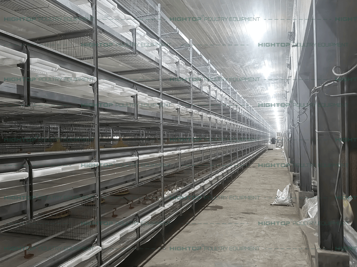 Pull out the side of the 4-layer slatted broiler cage