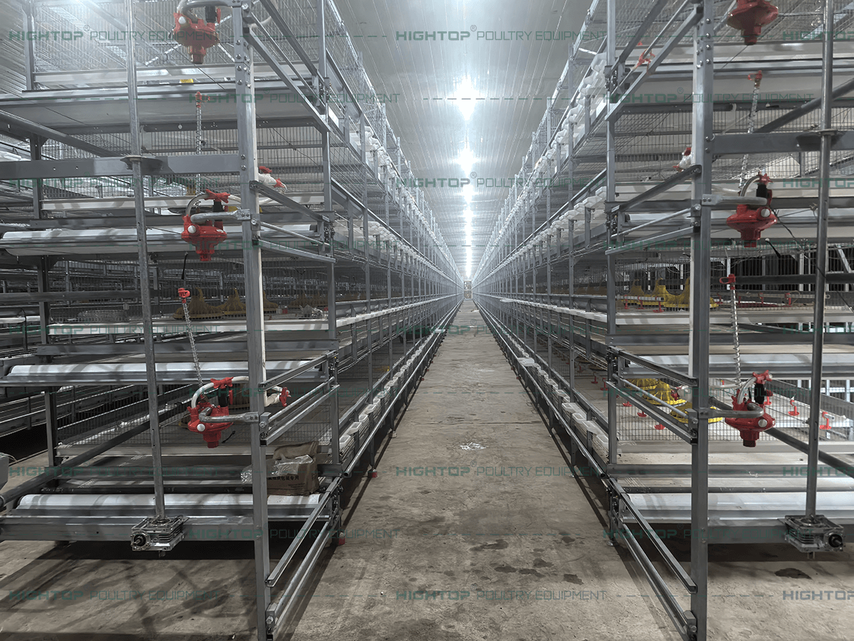 Water pressure valve at the rear of the broiler cage