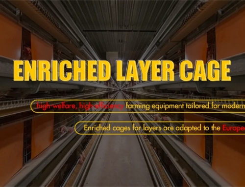 Enriched Layer Cage, Furnished Cage, Colony Cage