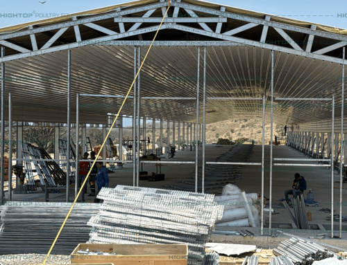 40,608 Birds/Building A Type Chick House