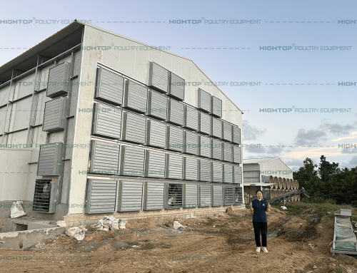 HIGHTOP EPC Project: 280,000-Layer Chicken Farm