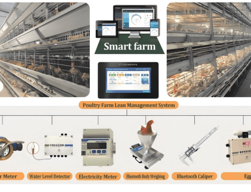Poultry IoT Devices for Layer
