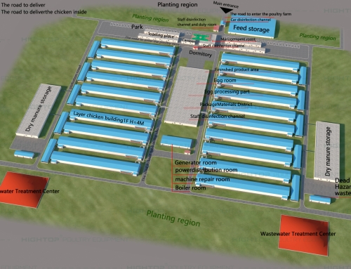 HIGHTOP Thailand Distributor Project: Total Stocking Capacity 375,456 Chickens