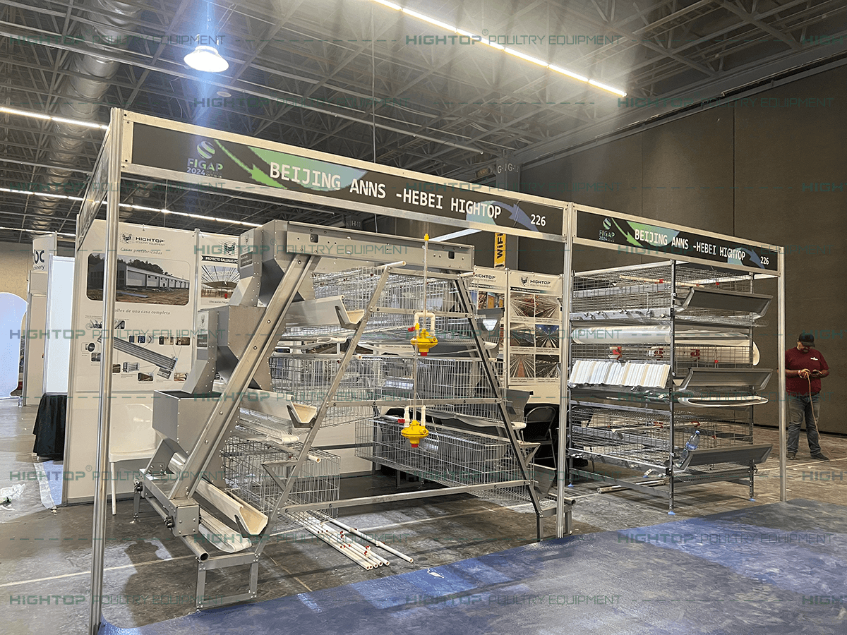 FIGAP Mexico Exhibition