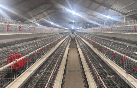 The Poultry House Upon Completion of Installation