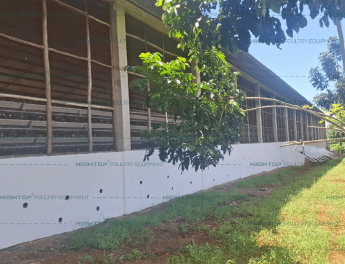 A Type Automatic Layer Cage for 23,040 Birds – Tanzania