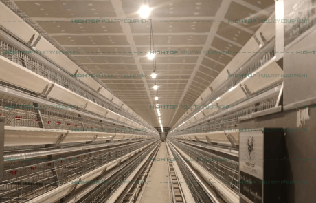Installation of Automated Layer Cages
