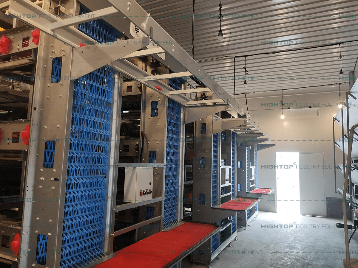 Automatic egg collection unit inside the poultry house