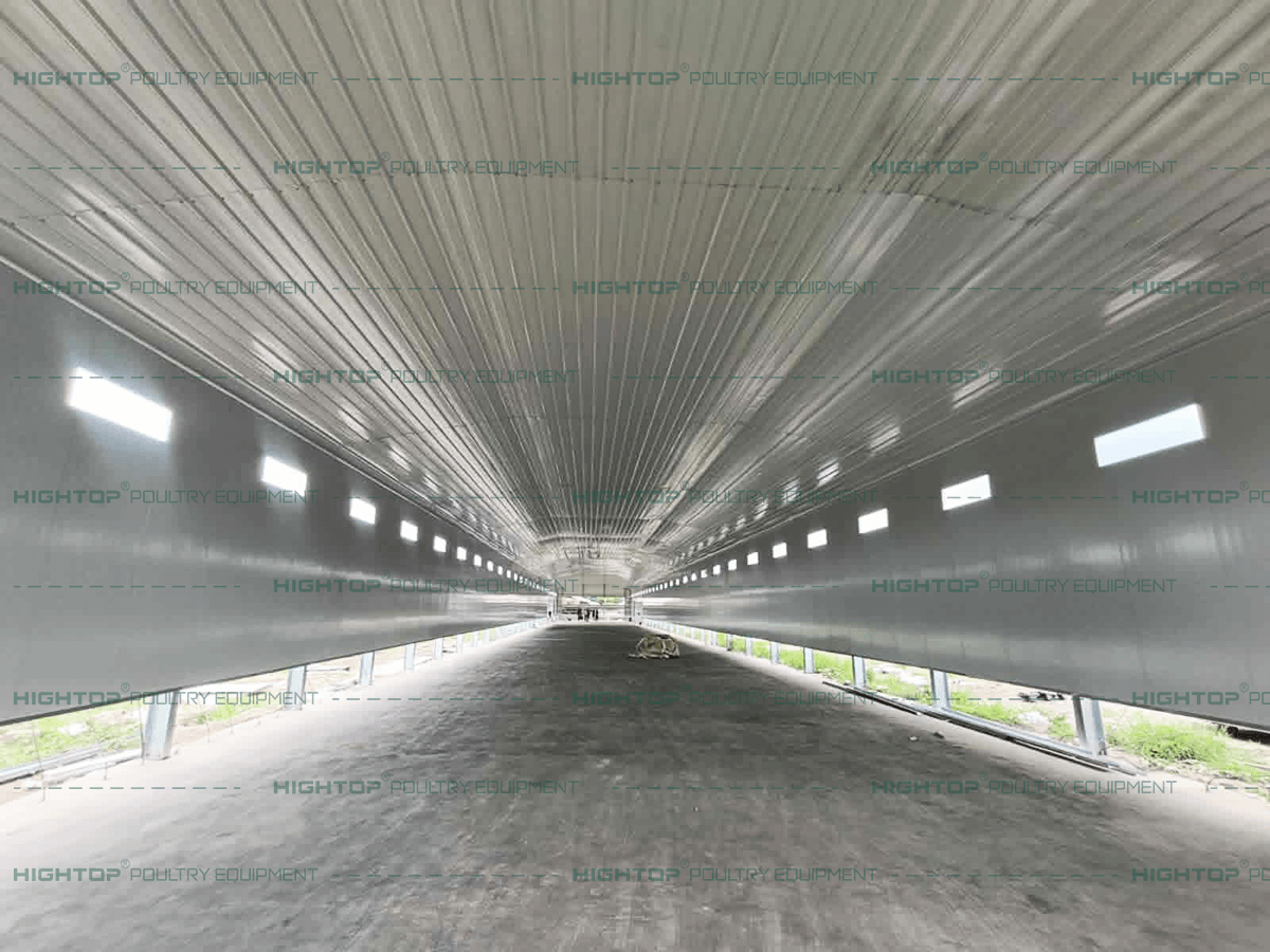 Construction of prefabricated steel-structure poultry house