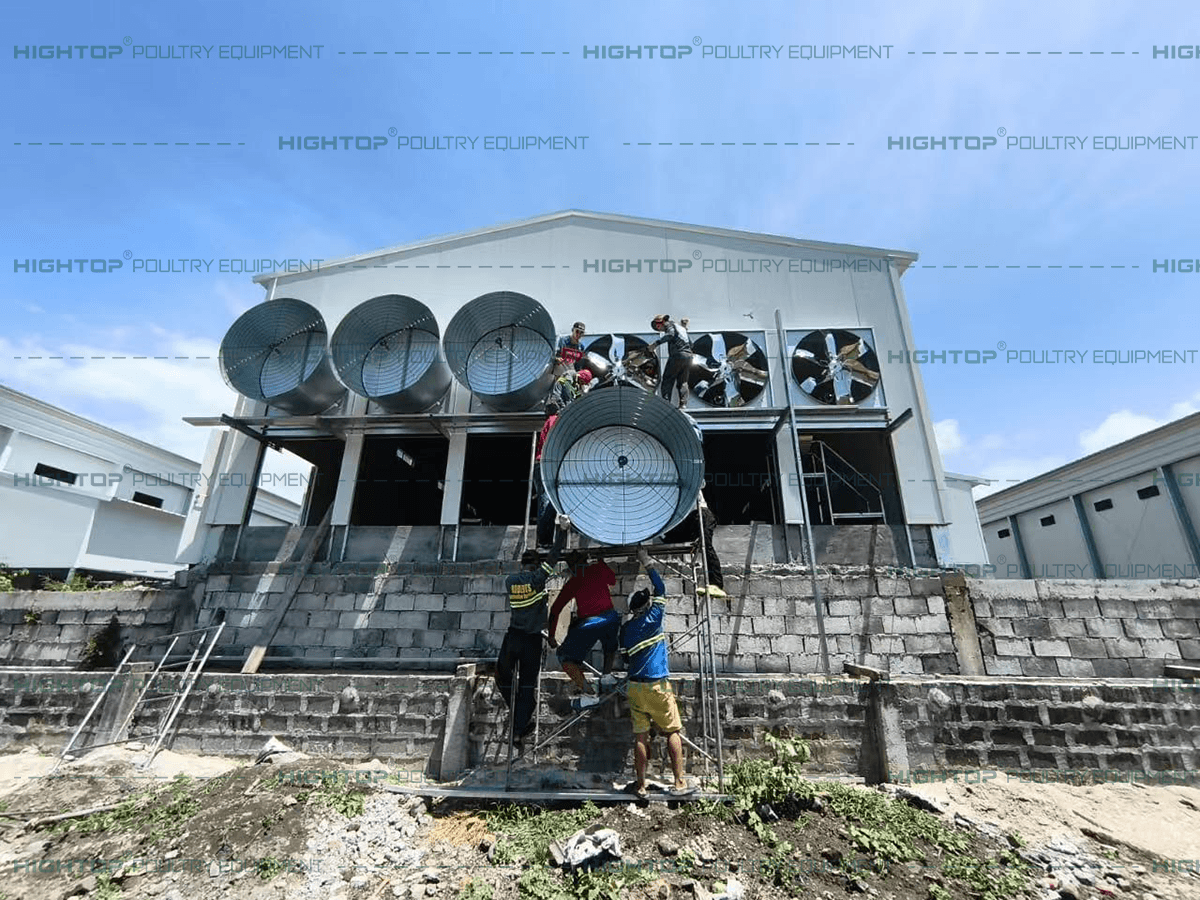 Installation of ventilation fans on the exterior of the poultry house