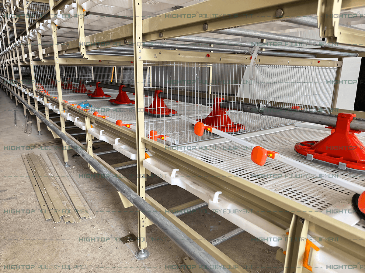 Broiler Cage Mesh Installation