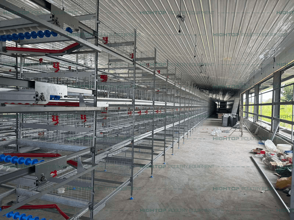 Main H-Type cage structures installed.