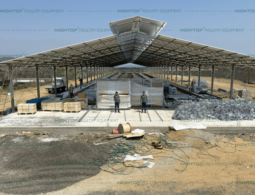 A Type Automatic Layer Cage for 30,000 Birds – Ecuador